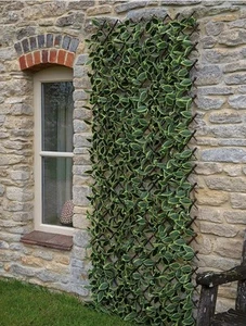 Smart GardenHosta Leaf Trellis 180 x 60 cm - Picture 1 of 4