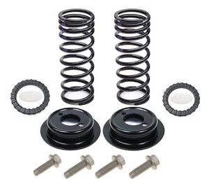 DISCOVERY 2  REAR AIR SUSPENSION TO COIL SPRING CONVERSION KIT SET - Picture 1 of 1