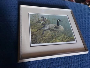 Robert Bateman Preening Pair - Canada Geese Limited Edition Signed Print Framed - Bild 1 von 15