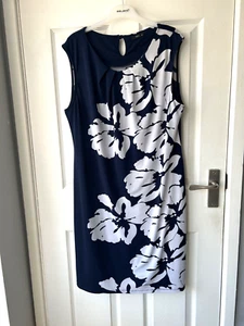 Ladies gorgeous dress size 20 excellent condition hardly worn stretchy - Picture 1 of 1