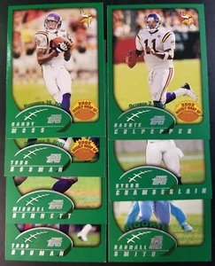 2002 Topps Minnesota Wikinger Team LOT (7c) - Bild 1 von 1