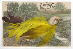 GREETINGS FROM BIRD WITH ATTACHED FEATHERS,COUNTRY SCENE-ARTIST SIGNED - Picture 1 of 2