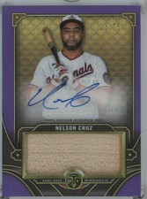 2022 Topps Triple Threads Nelson Cruz Amethyst Game Used Bat Auto #/75 ASJR-NC