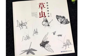 Chinese Painting Cao Chong White Strokes Brushwork Brush Painting Technique Book - Picture 1 of 6