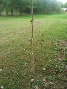 ROPE SCRAPE SYNTHETISCHER BOCK URIN, (HIRSCHKÖDER, LOCKSTOFF, DEERSCENT) - Bild 1 von 5