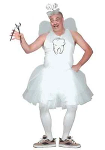 Plus Size Tooth Fairy Costume fro Adults - Picture 1 of 1
