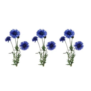 Künstliche Seide blaue Kornblumenstiele Konvolut 3 65 cm/25 cm - Bild 1 von 1