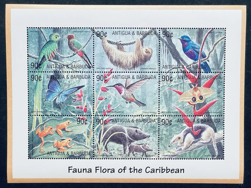 SELLOS ANTIGUA FAUNA Y FLORA DEL CARIBE MNH 2002 PEREZOSO MARIPOSA PÁJARO RANA Foto 1 de 1
