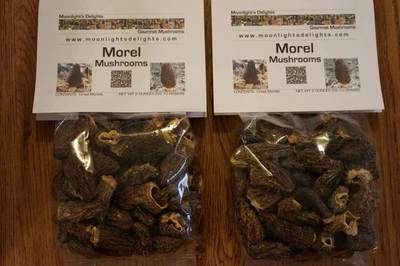 4oz Dried Morel Mushrooms Premium Quality Pacific Northwest Harvested Inside USA - Image 1 of 4
