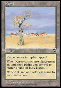 *MRM* FR/VF Karroo  - Karoo MTG VIS - Picture 1 of 1