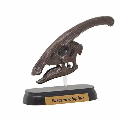 Favorite Parasaurolophus Skull Dinosaur Mini Model Figure Designed H.tokugawa