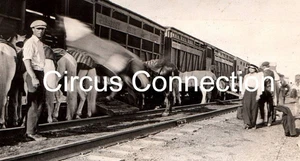 C1910's - Ringling Bros Circus RBB Circus Animals Being Loaded unto Train - AAFN - Picture 1 of 3