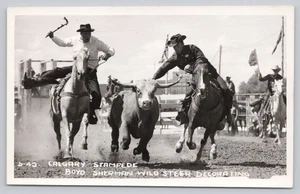 RPPC Calgary Stampede Boyd Sherman Wild Steer Decorating Rodeo - Picture 1 of 2