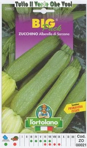 ZUCCHINO ALBERELLO DI SARZANA BIG PACK - SEMI ORTICOLI - Picture 1 of 1