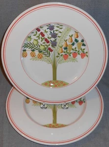 Set (2) Villeroy & Boch BON APPETIT Speiseteller MADE IN GERMANY - Bild 1 von 7