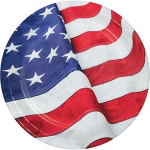 Patriotic Flag 9 Inch Paper Plates 8 Per Pack Red White Blue Party Tableware - Picture 1 of 1