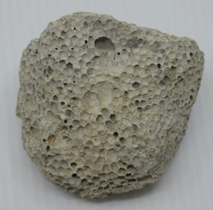 PIECE OF NATURAL FOSSILIZED CORAL, FOSSIL SPECIMEN, 2.75 INCHES, 2.8 OUNCES - Picture 1 of 3