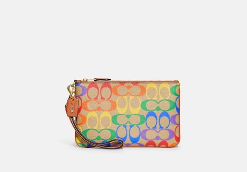 ❤️ Polso multiforme Coach piccolo ottone abbronzatura naturale in tela firma arcobaleno