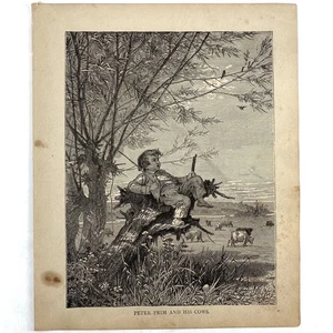 Antik 1879 Gravur Peter Prim und seine Kühe alt 1800’er Kunstdruck Bauernjunge - Bild 1 von 3
