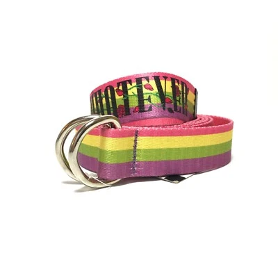 Cinturón para mujer Samii Ryan 1XL-2XL multicolor a rayas cualquier lona anillo en D nuevo con etiquetas Foto 1 de 4