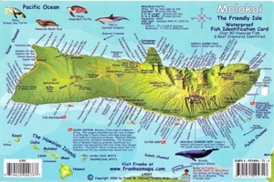 Molokai : the friendly isle : waterproof fish identification card - Picture 1 of 1