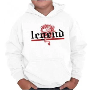 Cool Urban Streetwear Chines Dragon Legend Youth Hooded Sweatshirt Boy or Girl - Picture 1 of 7
