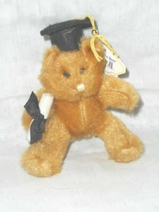 Graduation Plush Teddy Bear Cap Tassel Diploma n Hand Souvenir Gift Wrap Topper - Bild 1 von 11