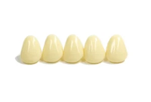 Dental Polycarbonate Temporary Preform Crowns Refills Set of 5 per Bag See Chart - Picture 1 of 70