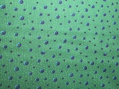 Tela acolchada There Was an Old Lady de Avlyn 1806-304 botones azules sobre verde Foto 1 de 4