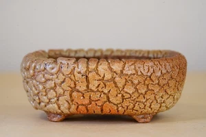 Japanese Bonsai Pot AKINAO 3.4"(8.6cm) Kairagi-yuu Glazed Rectangle Y926 - Picture 1 of 11