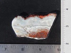 Crazy Lace Achat Lapidarplatte T1233 - Bild 1 von 12