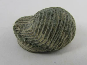 antigua gorra de Margiana parte de figura humana del período bactriano de Afganistán - Imagen 1 de 12