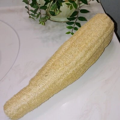 Esponja Loofah Luffa semillas de reliquia 25 + Cultiva la tuya propia. USA Esponja Vegetal 2023 Foto 1 de 2