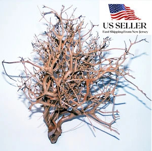 NATURAL DRIFTWOOD #BS001 WYSIWYG - AQUASCAPING, SUPER PRICE!!! BONSAI TREE DECOR - Picture 1 of 7