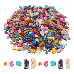 1000g Crushed Shells Irregular Natural Mosaic Sea Shell Fragments Multicolor - Picture 1 of 5