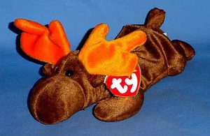 Ty plush Chocolate The Moose;1993;beanbag animal;Beanie Babies NWT - Picture 1 of 6