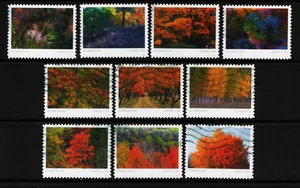 OFF paper #5929-38 Autumn Colors (used set of 10) Forever 2024 – f413 - Picture 1 of 1