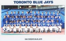 MLB World Series Champion Bookmark - Hand Made - Choose Year/Team - 5 ml - 8 x 3