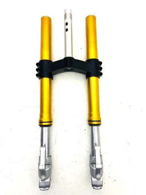 FORCELLE MARZOCCHI BENELLI TNT 1130 900 FRONT FORKS ORO SCURO C 0300269000000 - Imagen 1 de 4