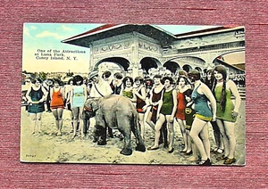 PISCINA LUNA PARK ELEFANTE BAGNO BELLEZZA CONEY ISLAND BROOKLYN NEW YORK - Foto 1 di 2