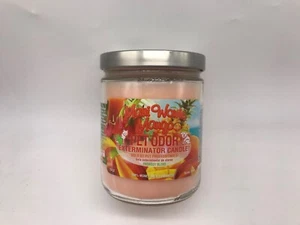 Pet Odor Exterminator Candle Maui Wowie Mango 13oz Jar - Picture 1 of 4