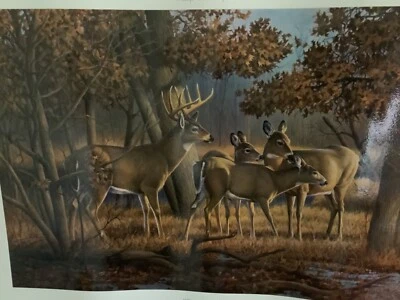 Cerveza Schmidt de colección impresión Widlife Foto 1 de 3