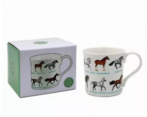 Horse Breed - Fine China - Brand New & Sealed - Picture 1 of 1