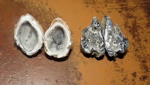 2 pair OF BRAZILIAN CRYSTAL OCO GEODES CUT IN HALF POLISHED - Picture 1 of 3