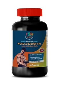 Ornithine - Muscle Builder XXL - Libido Boost - Premium Formula - 1B 60Ct - Picture 1 of 2