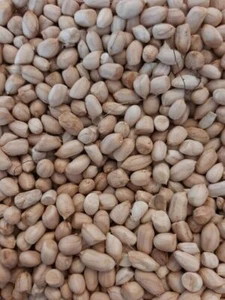 Cacahuete Blanco Argentino - 5+ Semillas - Semillas - Semillas - H 062 - Imagen 1 de 1