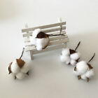 5pcs Rustic Cotton Stems Artificial Branches for Home Decor & Weddings