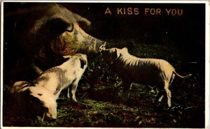 Postal A Kiss For You cerdos lechones - Imagen 1 de 2