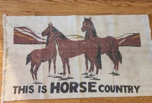 Vintage This is Horse Country Throw Rug Rustic/Wall Hanging 23X41 equestrian - Picture 1 of 10