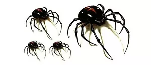 Flash Einmal Temporary Klebe Tattoo 3D Spinne Körper Party Body Geschenk WOW - Bild 1 von 1